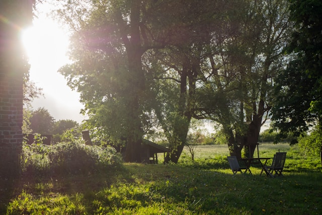 jardin de la résidence artiste de Normandie, à SAint Lô